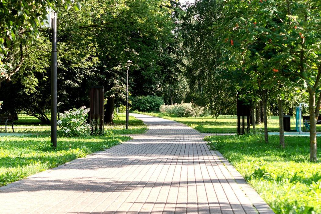 Landscaped walkway